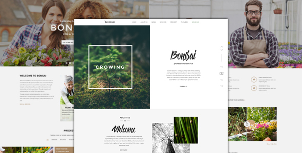 Bonsai - PSD Template for Landscapers & Gardeners
           TFx