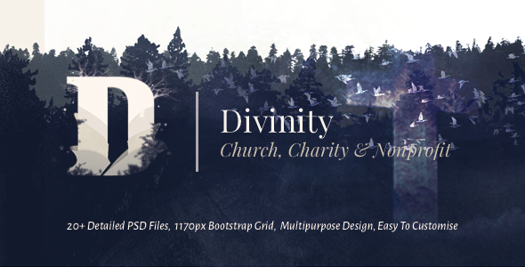 Divinity - Unique Church, Nonprofit & Charity Template
           TFx
