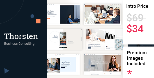 Thorsten - Business Consulting TFx WordPress