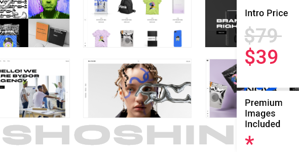 Shoshin - Digital Agency Theme TFx WordPress 