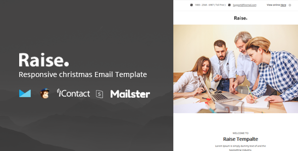 Raise Mail - Responsive E-mail Template  Online Access  Mailster  MailChimp TFx 