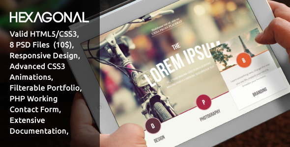 Hexagonal – Clean Multipurpose Responsive Website Template
