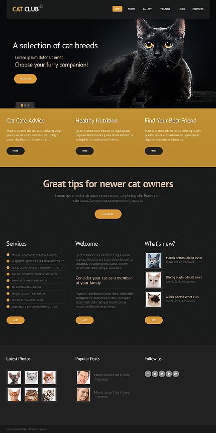 Black Cat Joomla Template by Mira TMT