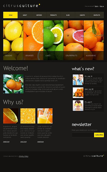 Black Food Store Joomla Template by Cowboy TMT