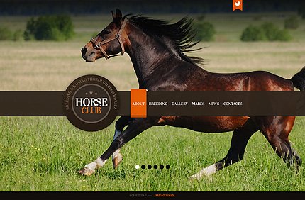 Black & Green Horse Joomla Template by Mercury TMT