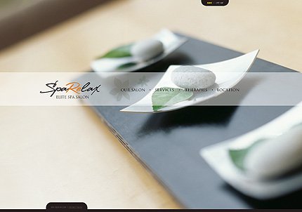Grey Beauty Salon Drupal Theme by Delta TMT