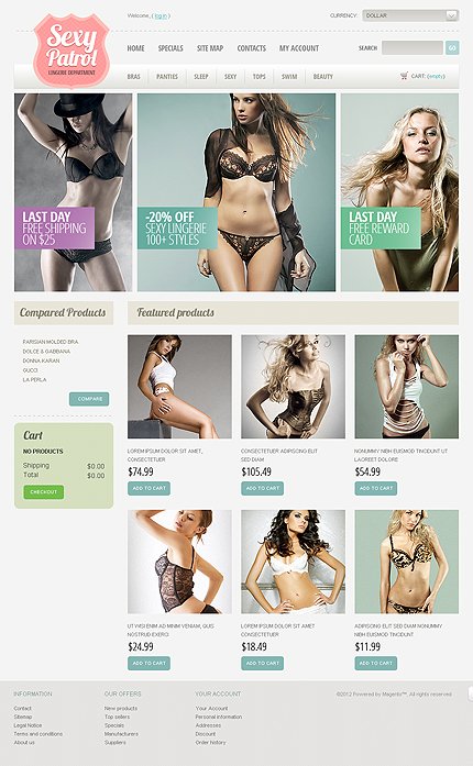 Lingerie for Special Occasions TMT