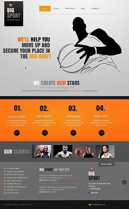 Original Basketball TMT
