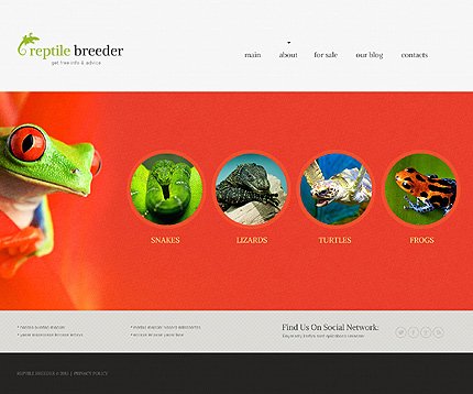 Reptile Pet TMT