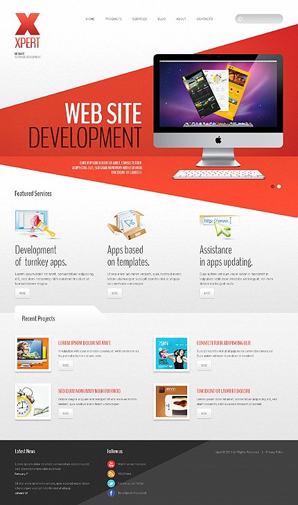 Software Company TMT