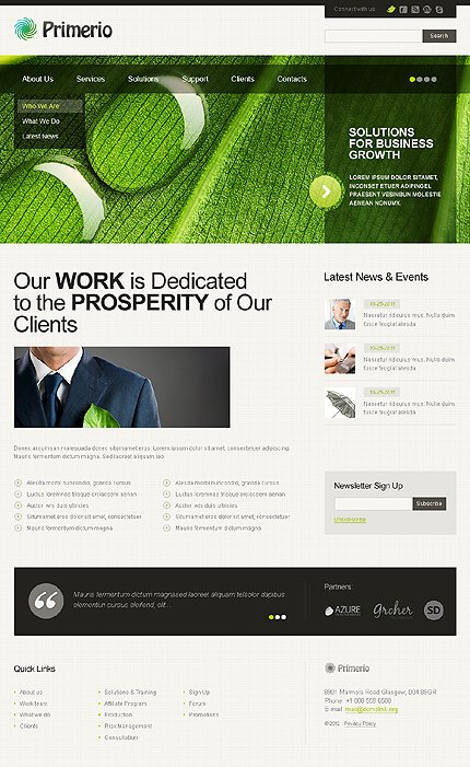 White & Black Consulting Joomla Template by Svelte TMT