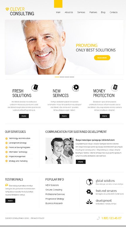 White Consulting TMT