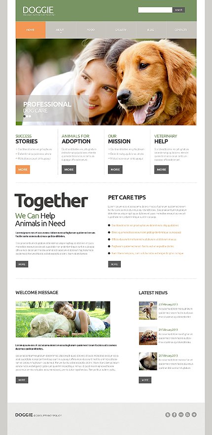 White Dog Joomla Template by Butterfly TMT