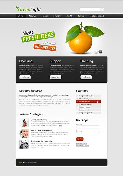 White & Grey Business Drupal Template by Nessy TMT