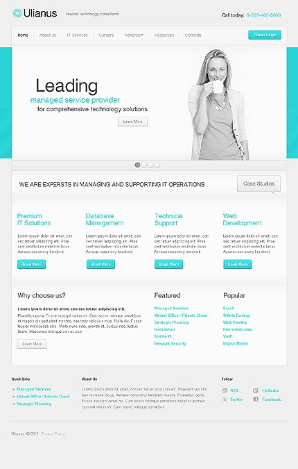 White & Grey Internet WordPress Template by Hugo TMT