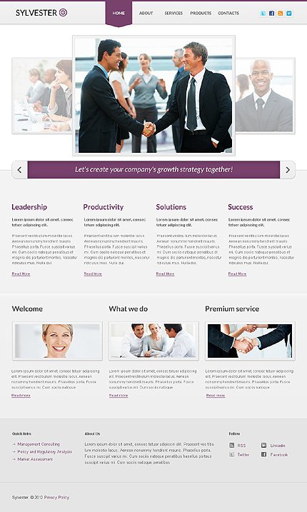 White & Grey Business Joomla Theme by Hugo TMT