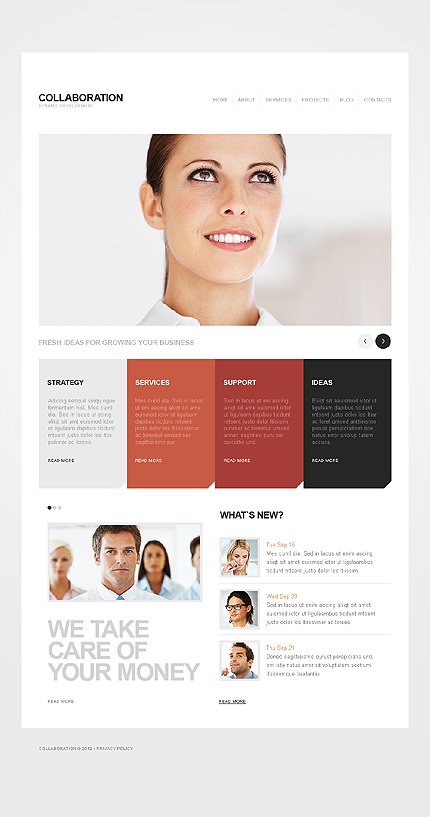 White SEO Website WordPress Theme by Cowboy TMT