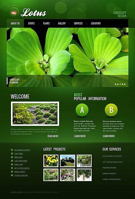 Green & Black Moto CMS HTML Template by Delta Moto CMS HTML Templates  TMT