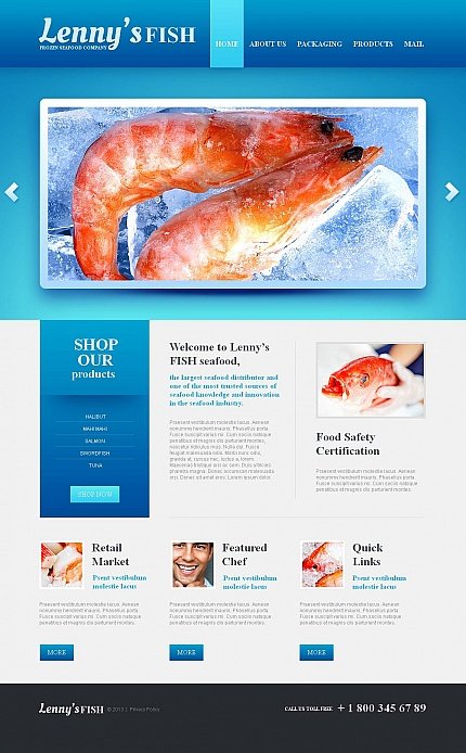 White & Cyan Moto CMS HTML Template by Elza Moto CMS HTML Templates  TMT