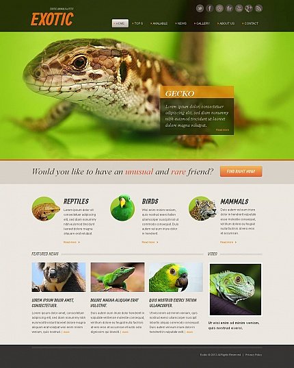 Grey & Green Moto CMS HTML Template by Oldman Moto CMS HTML Templates  TMT