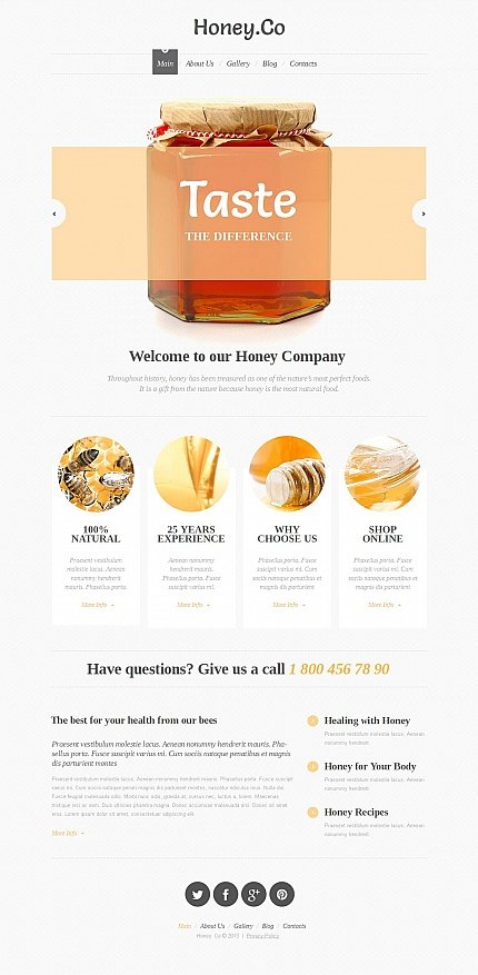 White Moto CMS HTML Template by Elza Moto CMS HTML Templates  TMT