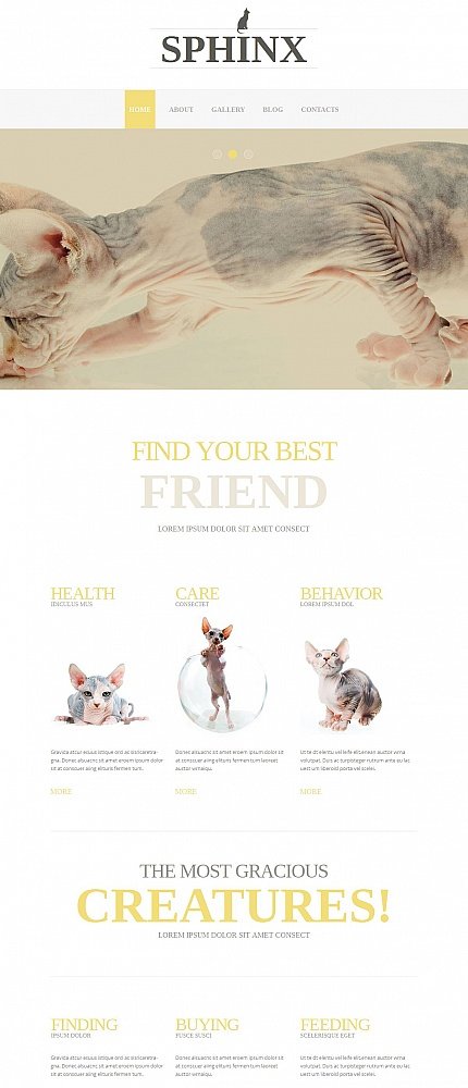White Moto CMS HTML Template by Cowboy Moto CMS HTML Templates TMT