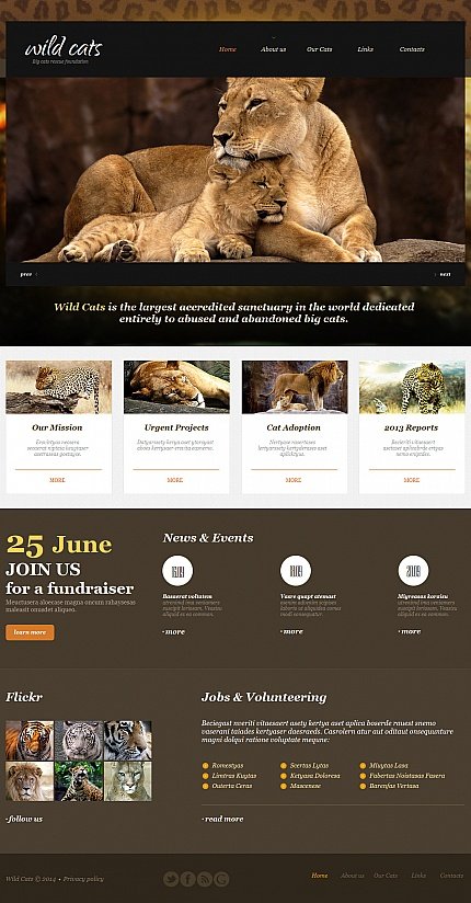 Black Moto CMS HTML Template by Delta TMT