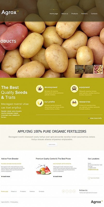 White Moto CMS HTML Template by Delta TMT