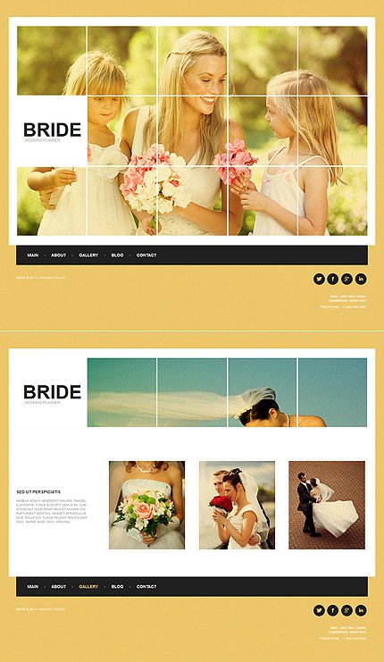 White & Orange Moto CMS HTML Template by Cowboy Site Templates TMT