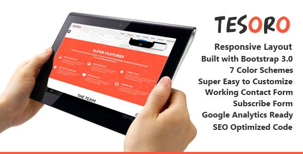 Tesoro - Super Simple Landing Page
 FXTheme