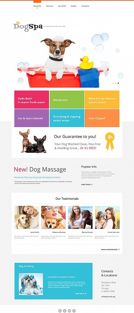 White Moto CMS HTML Template by Delta Site Templates TMT