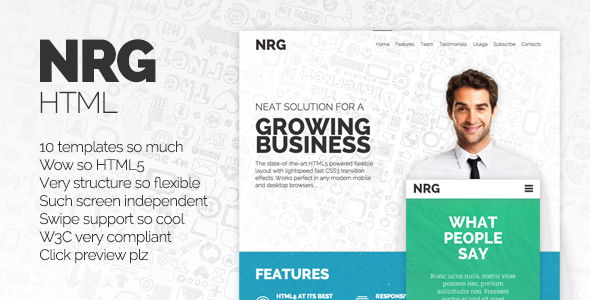 NRG - Responsive HTML Template
 FXTheme