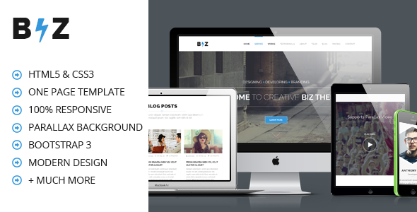 BIZ - One Page Parallax HTML Template
 TFx