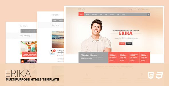 Erika - Responsive Multipurpose HTML5 Template
 TFx