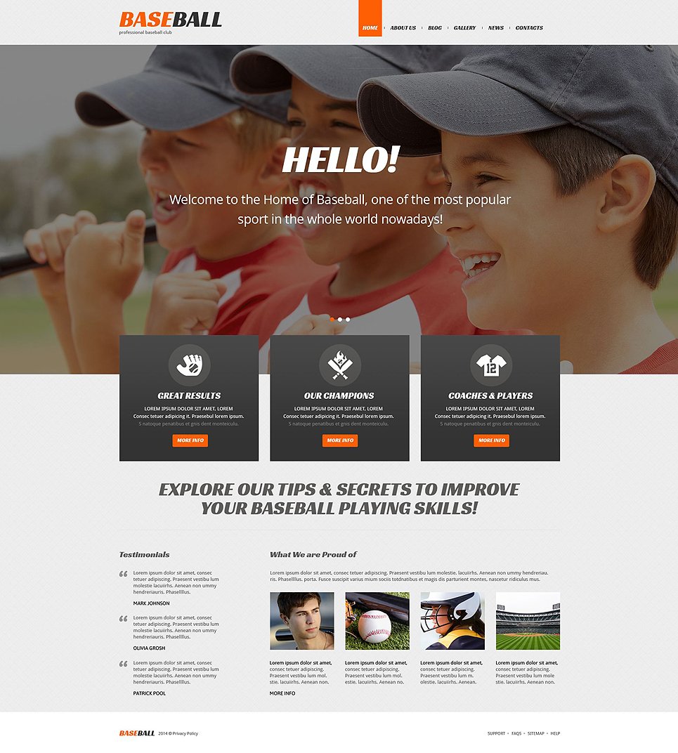 Baseball Responsive WordPress Theme TMT