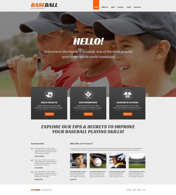 Baseball Responsive WordPress Theme TMT