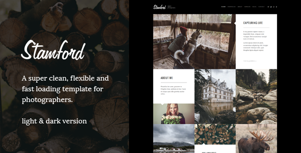 Stamford – Creative Photography Wordpress theme
 TFx
