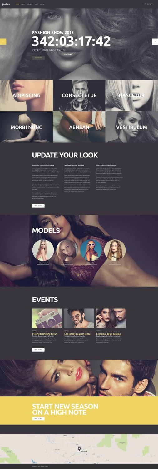 Fashion Icon WordPress Theme TMT