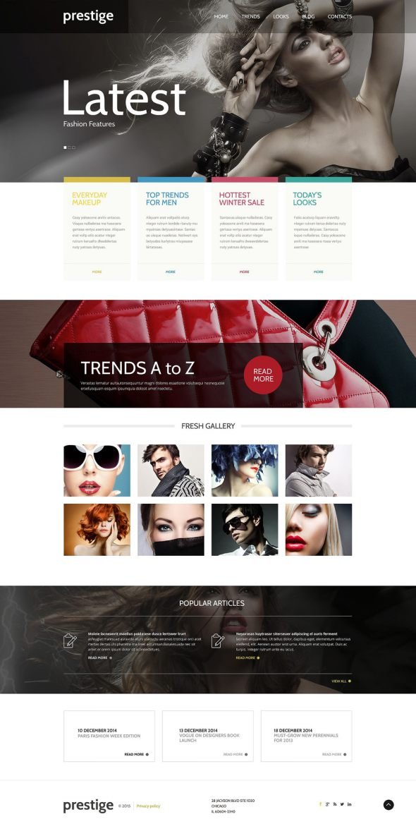 Fashion WordPress Theme TMT
