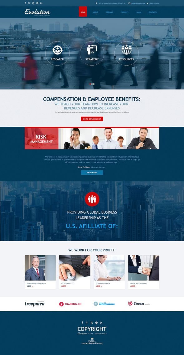 Management Services Joomla Template TMT
