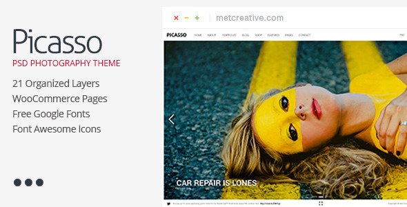 Picasso Photography & Photo Sales Theme
 TFx