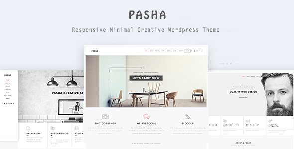Pasha - Minimal Creative WordPress Theme
           TFx