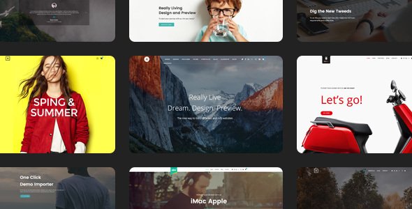 Alink | Customizable WordPress Theme
           TFx