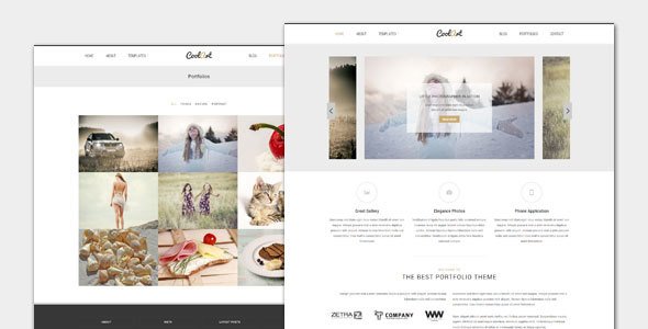Coolart - Portfolio and Photography WordPress Theme
           TFx