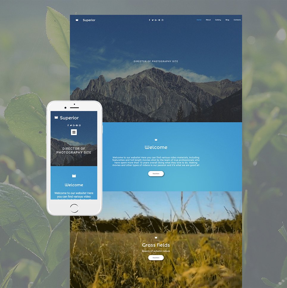 Photographer Portfolio Responsive Moto CMS 3 Template TMT
