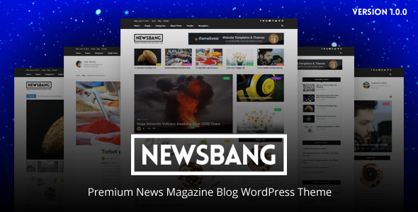 Newsbang - WordPress News Magazine Blog Theme - Blog / Magazine WordPress TFx Larrie Silver